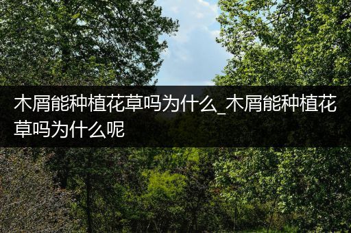 木屑能种植花草吗为什么_木屑能种植花草吗为什么呢