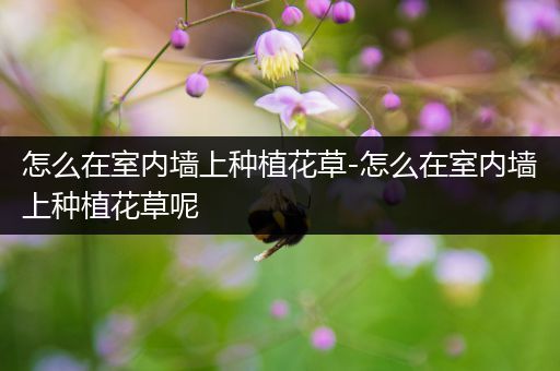 怎么在室内墙上种植花草-怎么在室内墙上种植花草呢
