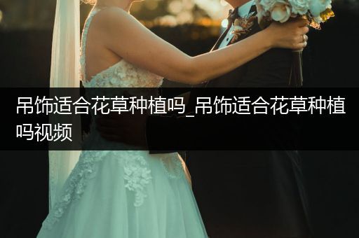 吊饰适合花草种植吗_吊饰适合花草种植吗视频
