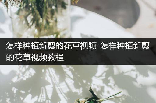 怎样种植新剪的花草视频-怎样种植新剪的花草视频教程
