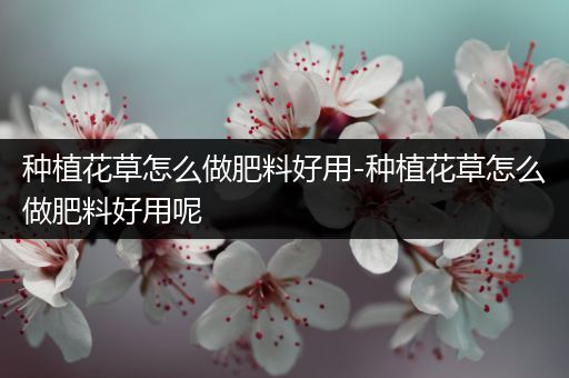 种植花草怎么做肥料好用-种植花草怎么做肥料好用呢