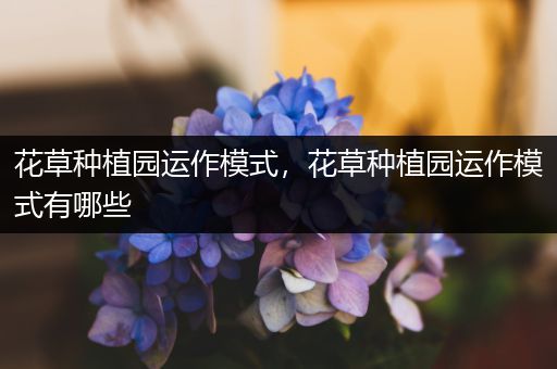 花草种植园运作模式，花草种植园运作模式有哪些