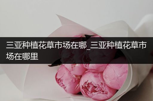 三亚种植花草市场在哪_三亚种植花草市场在哪里