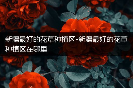 新疆最好的花草种植区-新疆最好的花草种植区在哪里