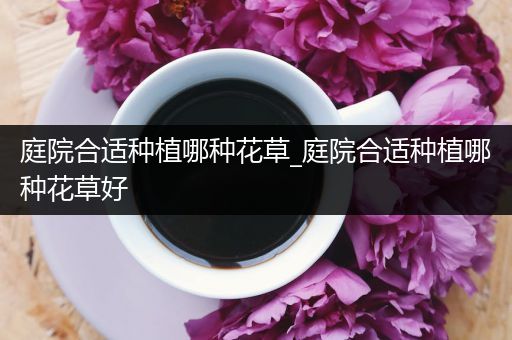 庭院合适种植哪种花草_庭院合适种植哪种花草好
