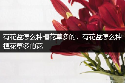 有花盆怎么种植花草多的，有花盆怎么种植花草多的花