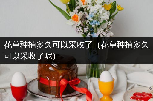花草种植多久可以采收了（花草种植多久可以采收了呢）
