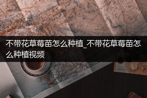 不带花草莓苗怎么种植_不带花草莓苗怎么种植视频