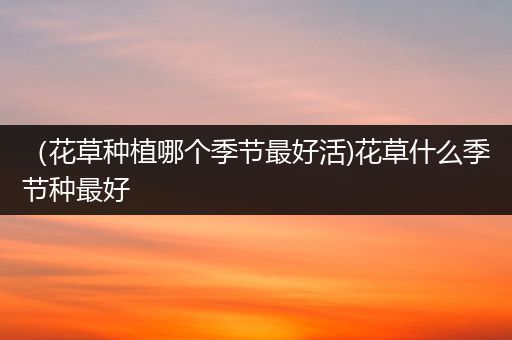 （花草种植哪个季节最好活)花草什么季节种最好