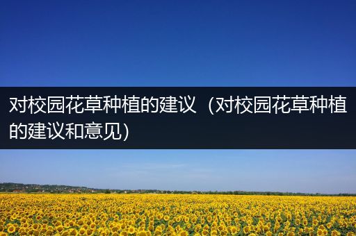 对校园花草种植的建议（对校园花草种植的建议和意见）