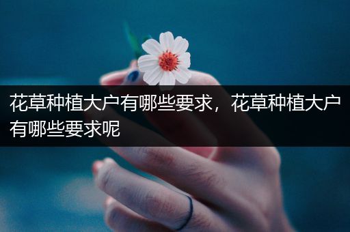 花草种植大户有哪些要求，花草种植大户有哪些要求呢