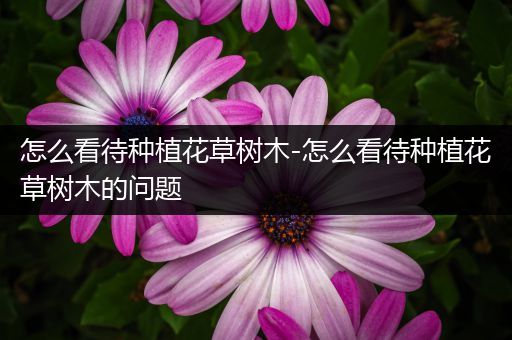 怎么看待种植花草树木-怎么看待种植花草树木的问题