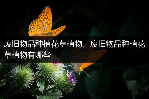 废旧物品种植花草植物，废旧物品种植花草植物有哪些