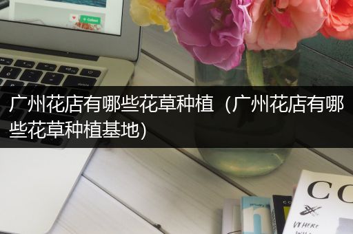 广州花店有哪些花草种植（广州花店有哪些花草种植基地）