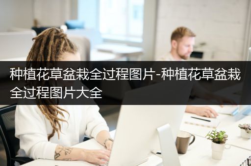 种植花草盆栽全过程图片-种植花草盆栽全过程图片大全