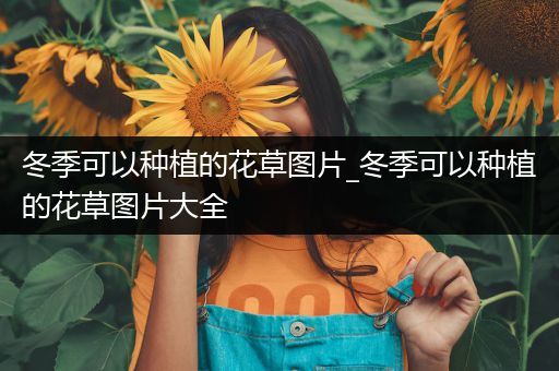 冬季可以种植的花草图片_冬季可以种植的花草图片大全