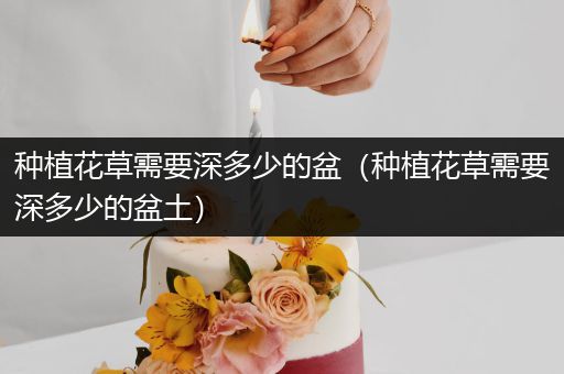 种植花草需要深多少的盆（种植花草需要深多少的盆土）