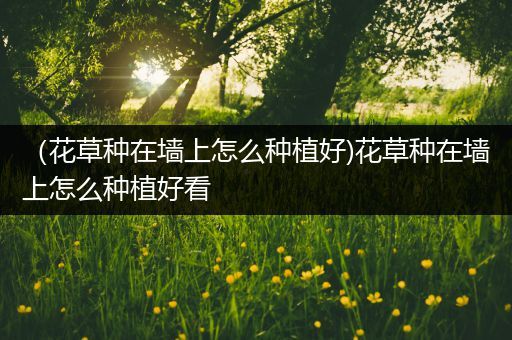 （花草种在墙上怎么种植好)花草种在墙上怎么种植好看