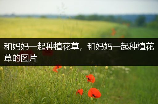 和妈妈一起种植花草，和妈妈一起种植花草的图片