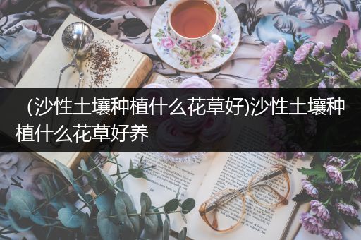 （沙性土壤种植什么花草好)沙性土壤种植什么花草好养