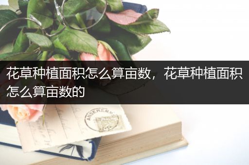 花草种植面积怎么算亩数，花草种植面积怎么算亩数的