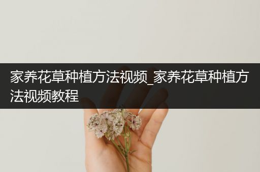 家养花草种植方法视频_家养花草种植方法视频教程