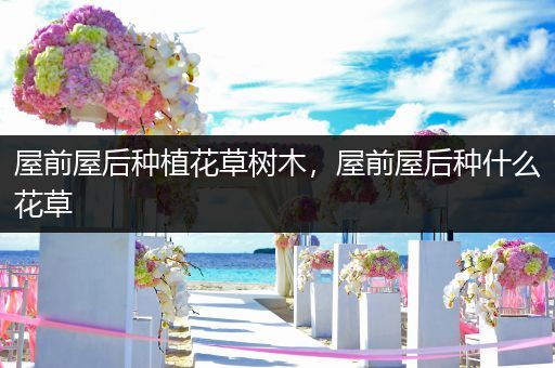 屋前屋后种植花草树木，屋前屋后种什么花草