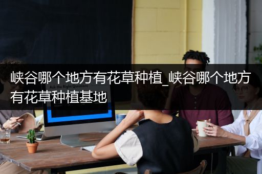 峡谷哪个地方有花草种植_峡谷哪个地方有花草种植基地