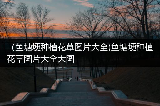 （鱼塘埂种植花草图片大全)鱼塘埂种植花草图片大全大图