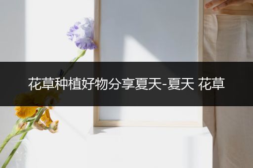 花草种植好物分享夏天-夏天 花草