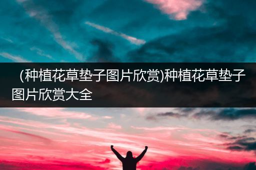 （种植花草垫子图片欣赏)种植花草垫子图片欣赏大全