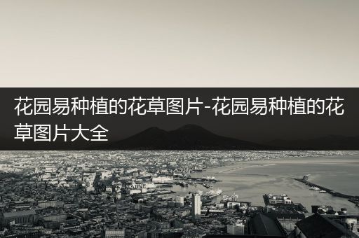 花园易种植的花草图片-花园易种植的花草图片大全