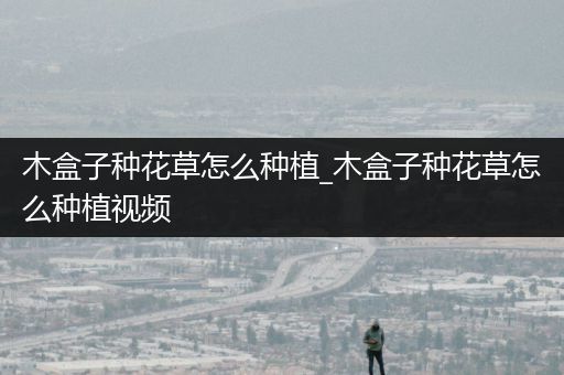 木盒子种花草怎么种植_木盒子种花草怎么种植视频