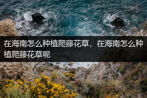在海南怎么种植爬藤花草，在海南怎么种植爬藤花草呢