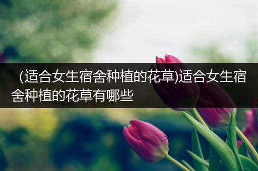 （适合女生宿舍种植的花草)适合女生宿舍种植的花草有哪些