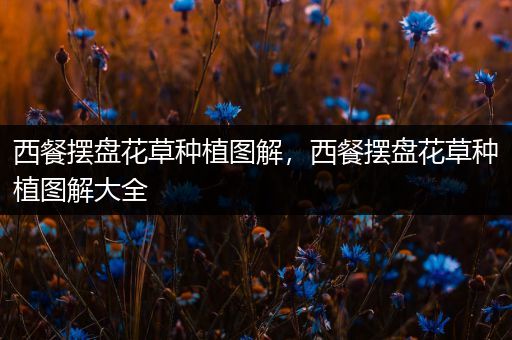 西餐摆盘花草种植图解，西餐摆盘花草种植图解大全