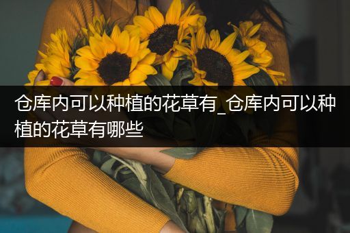 仓库内可以种植的花草有_仓库内可以种植的花草有哪些