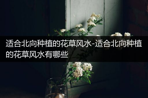 适合北向种植的花草风水-适合北向种植的花草风水有哪些