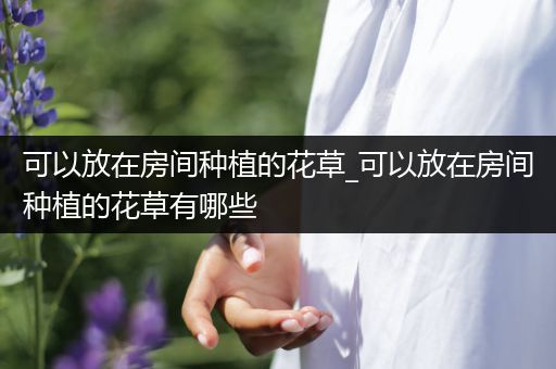可以放在房间种植的花草_可以放在房间种植的花草有哪些
