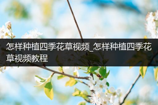 怎样种植四季花草视频_怎样种植四季花草视频教程