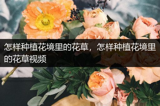 怎样种植花境里的花草，怎样种植花境里的花草视频