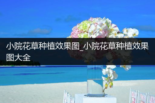 小院花草种植效果图_小院花草种植效果图大全