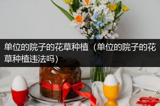 单位的院子的花草种植（单位的院子的花草种植违法吗）