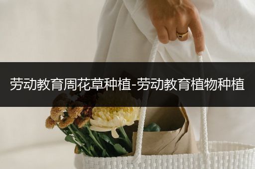 劳动教育周花草种植-劳动教育植物种植