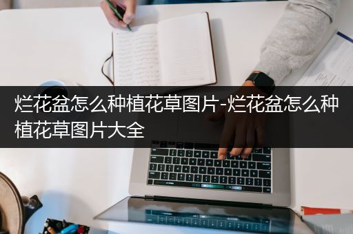 烂花盆怎么种植花草图片-烂花盆怎么种植花草图片大全