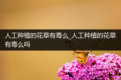 人工种植的花草有毒么_人工种植的花草有毒么吗