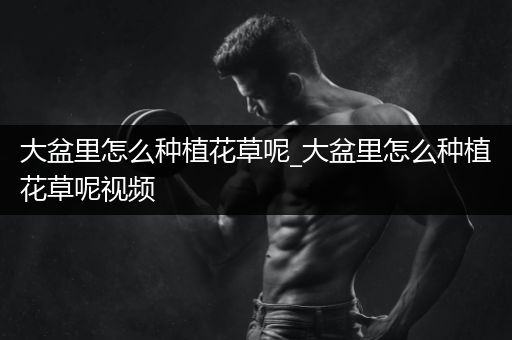 大盆里怎么种植花草呢_大盆里怎么种植花草呢视频