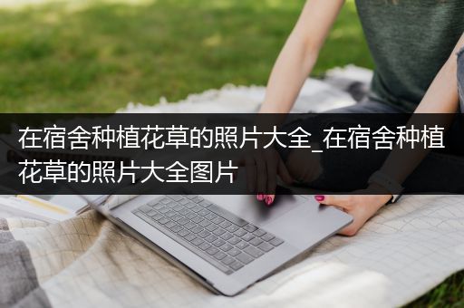 在宿舍种植花草的照片大全_在宿舍种植花草的照片大全图片