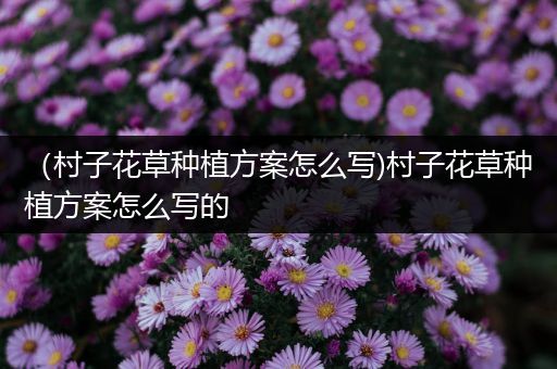 （村子花草种植方案怎么写)村子花草种植方案怎么写的