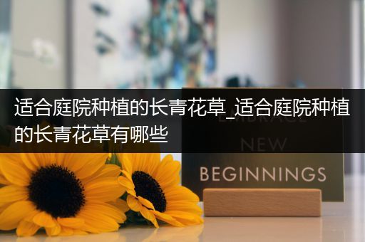 适合庭院种植的长青花草_适合庭院种植的长青花草有哪些